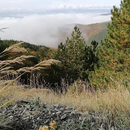 דירה Milmari P39