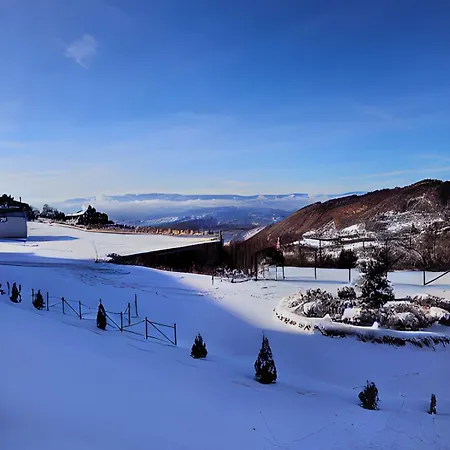 Milmari P39 קופאוניק