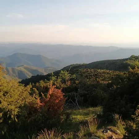 Milmari P39 דירה *