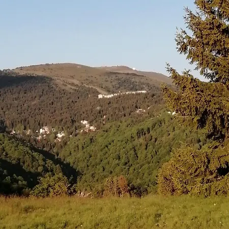 דירה Milmari P39 קופאוניק