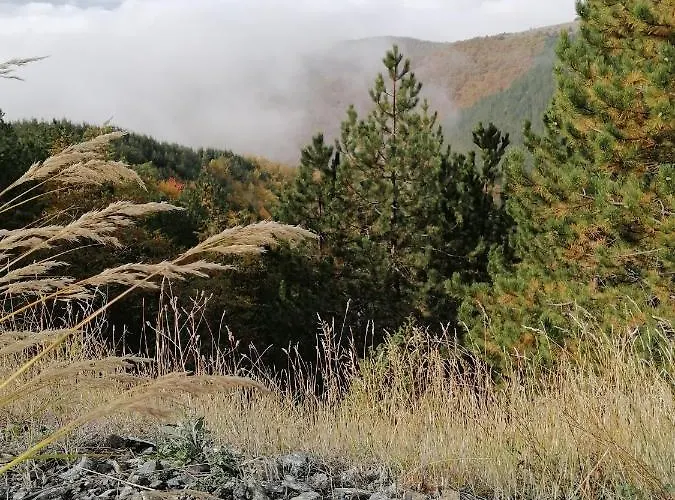 Apartman Milmari P39