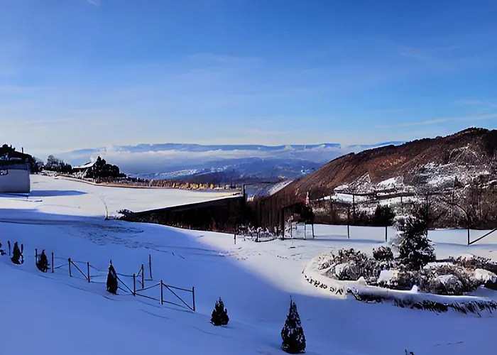 Milmari P39 Kopaonik