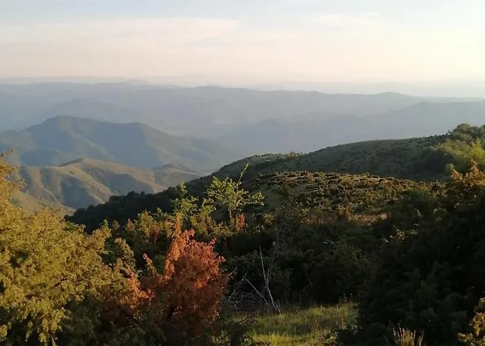 Milmari P39 Apartman *