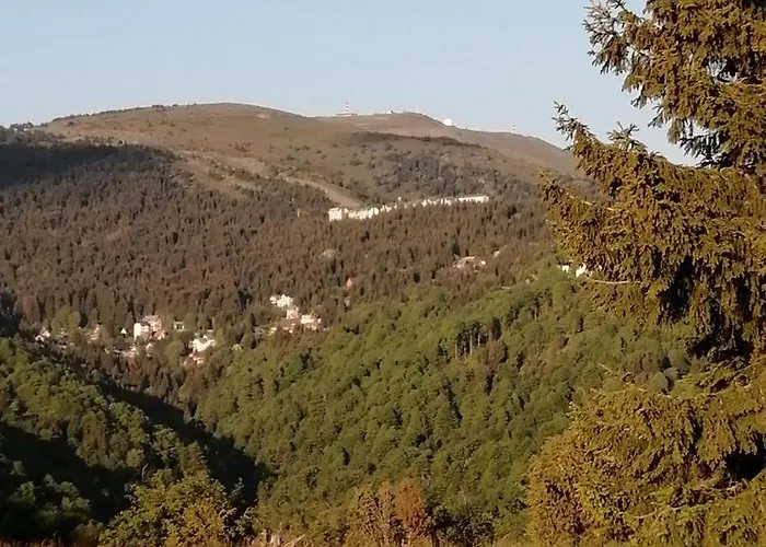 Apartman Milmari P39 Kopaonik